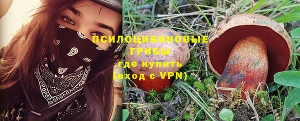 прущие крисы Лабытнанги
