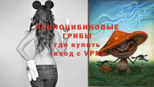 прущие крисы Лабытнанги