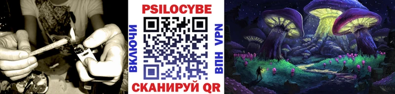 Купить  Трёхгорный  Галлюциногенные грибы MAGIC MUSHROOMS 