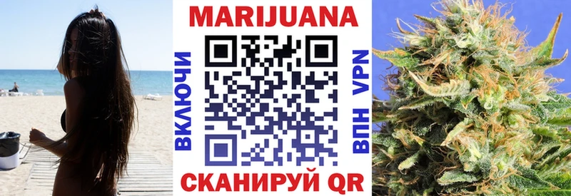 Конопля SATIVA & INDICA  Купить где  Трёхгорный 